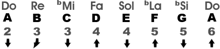 Natural Minor Scale in the Key of LAm